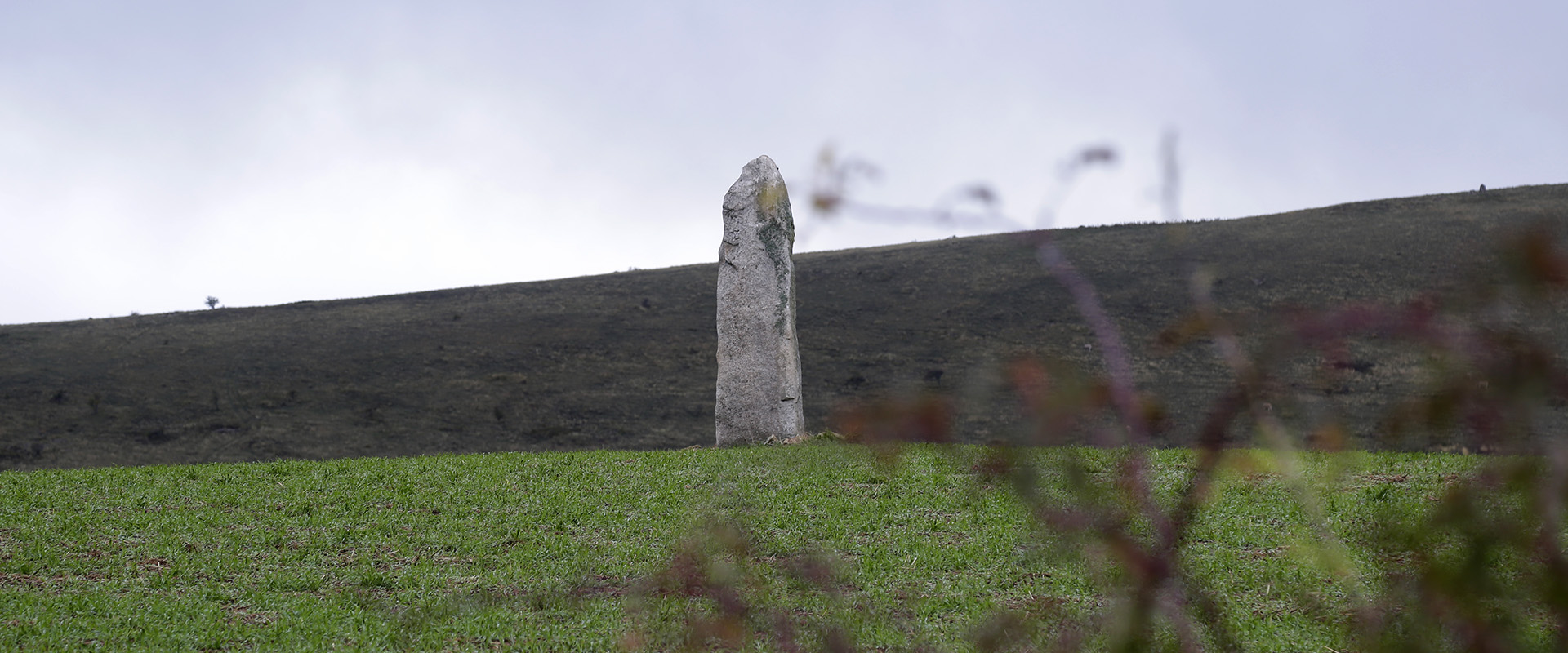 Rencontre avec le GdRA